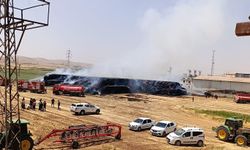 Şanlıurfa'daki samanlık yangını kontrol altına alındı