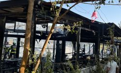 Siirt’in Kurtalan ilçesinde çıkan yangında kafe kullanılamaz hale geldi