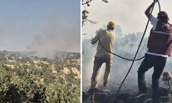 Siirt'te örtü yangını: Ekipler ve köylüler seferber oldu