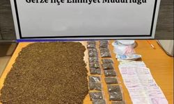 Sinop'ta uyuşturucu operasyonu: 2 gözaltı