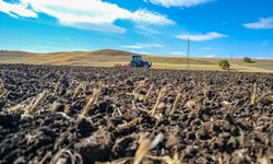 Tarım alanında 2025’te 60 yeni çeşit tescillendi