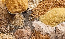 TMO, 2025 yılı hububat alım fiyatlarını açıkladı