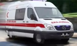 Trabzon'da çay yüklü kamyonet devrildi: 9 yaralı