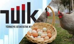 TÜİK: Tavuk eti üretimi arttı, yumurta üretimi azaldı