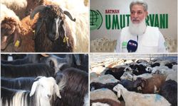 Umut Kervanı, bayramda binlerce aileye kurban eti ulaştıracak