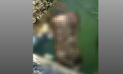 Van'da sulama kanalında erkek cesedi bulundu