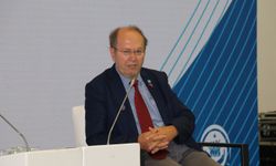 Yazar Kaplan: Postmodern dünyanın aktörleri 'ailesiz bir dünya' tasarlıyor