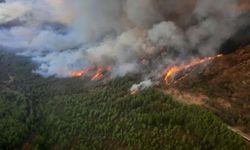 6 ilde orman yangınlarıyla yoğun mücadele devam ediyor