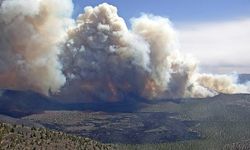 ABD'de orman yangını 20 bin dönüm alana yayıldı