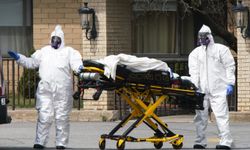 ABD'de veba kaynaklı ölüm bildirildi