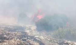 Adıyaman'da dağlık bölgede çıkan yangın söndürüldü