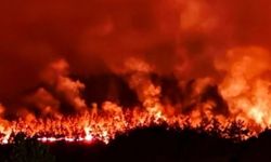 Alevlerin arasında kalan 11 orman işçisi hayatını kaybetti