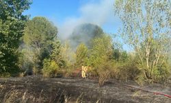 Bakan Yumaklı: 7 büyük yangın kontrol altına alındı