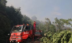 Bartın'da anız yangını ormanlık alana sıçradı
