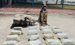 Batman'da 20 kilo toz esrar ele geçirildi