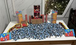 Batman'da el konulan bini aşkın patlayıcı madde imha edildi