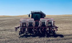 Batman'da ikinci ürün ayçiçeği ekimi yapıldı
