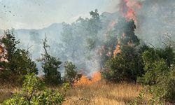 Bingöl’de 4 ayrı noktada yangın çıktı
