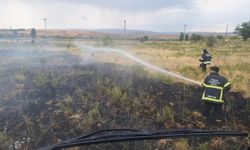 Bingöl'de iki farklı noktada çıkan yangınlar kontrol altına alındı