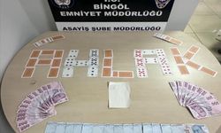 Bingöl’de kumar operasyonu