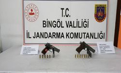 Bingöl'de silah operasyonu: 2 gözaltı