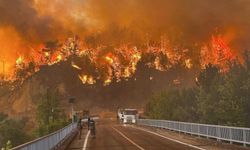 Bulgaristan'daki orman yangını Türkiye sınırına dayandı