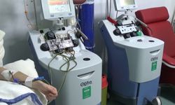 Bursa kök hücre toplamada Türkiye ikincisi oldu