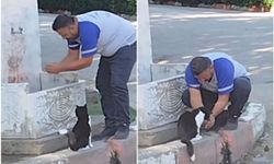 Bursa’da merhamet dolu anlar: Susayan kediye eliyle su içirdi