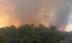 Bursa'da orman yangını