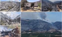 Bursa'da yangından geriye kalan manzaralar İLKHA kadrajında