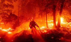 California alevlere teslim: 52 bin dönüm küle döndü