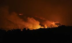 Çankırı'da orman yangını