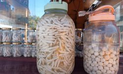 Dağlardan gelen şifa, kenger sakızı el yakıyor