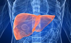 Doç. Dr. Atay: Hepatit B, karaciğer kanserine neden olabilen bir virüs hastalığıdır