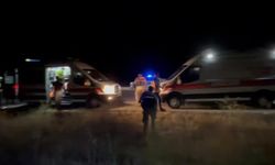 Elâzığ’da trafik kazası: 2 ölü, 2 yaralı