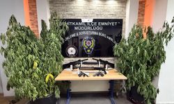 Gaziantep'te hint keneviri ve çeşitli silahlar ele geçirildi