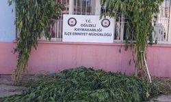 Gaziantep'te uyuşturucu operasyonu: 2 gözaltı