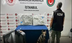 Gümrükler Muhafaza ekiplerinden üç ilde 9 uyuşturucu operasyonu