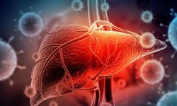 Hepatite kalkan: Aşı, temizlik, doğru bilgi