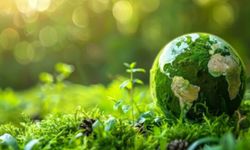 İklim Kanunu 14 soruda anlatıldı: Hedef, dayanıklı ve yeşil bir gelecek