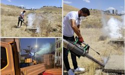 İLKHA'nın haberinin ardından Batman Belediyesinden akrep alarmına müdahale