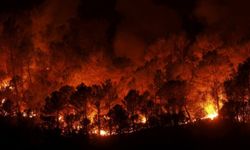 İspanya'da orman yangını: 2 ölü