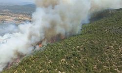 İstanbul Aydos Ormanı'nda yangın