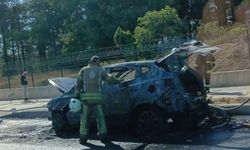 İstanbul'da korkutan yangın: Ormanlık alanda yanan araç küle döndü