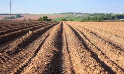 İstanbul'da  yangınlarla ilgili yeni önlem