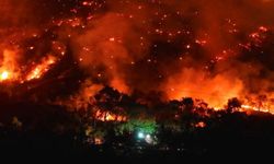 İzmir Çeşme'de orman yangını 