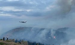 Konya'daki orman yangını Isparta sınırına kadar ilerledi