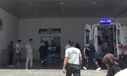 Malatya'da askeri araç devrildi: 2 yaralı