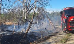 Malatya'da bahçe yangını: Çok sayıdaki kayısı ağacı kül oldu