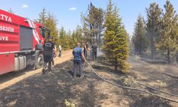 Malatya'da ormanlık alanda yangın: 20 hektar alan zarar gördü